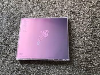 Amazon.co.jp: 偽愛 STUPID GUYS ☆ CD ☆堂村璃羽 たかやん